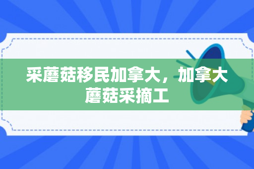 采蘑菇移民加拿大，加拿大蘑菇采摘工