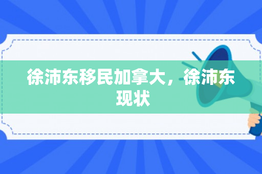 徐沛东移民加拿大，徐沛东 现状