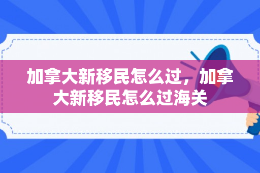 加拿大新移民怎么过，加拿大新移民怎么过海关