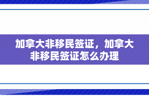 加拿大非移民签证，加拿大非移民签证怎么办理