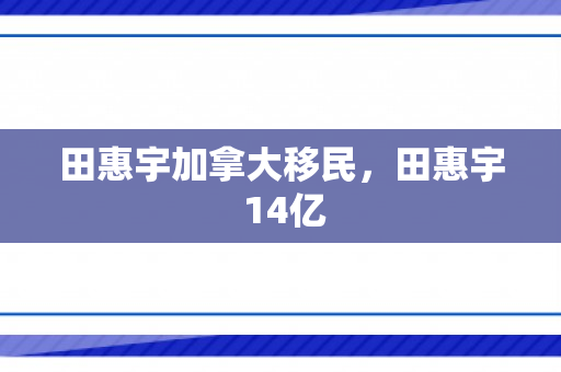 田惠宇加拿大移民，田惠宇 14亿