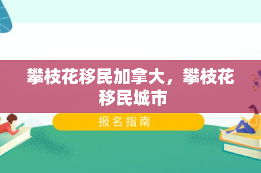 攀枝花移民加拿大，攀枝花 移民城市