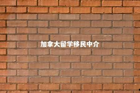 加拿大留学移民中介