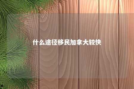 什么途径移民加拿大较快