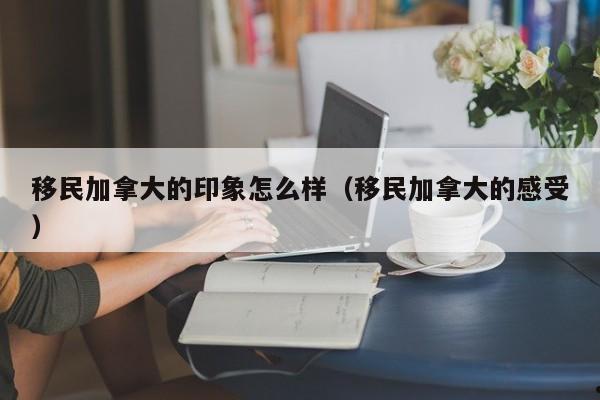 加拿大联邦申请费用