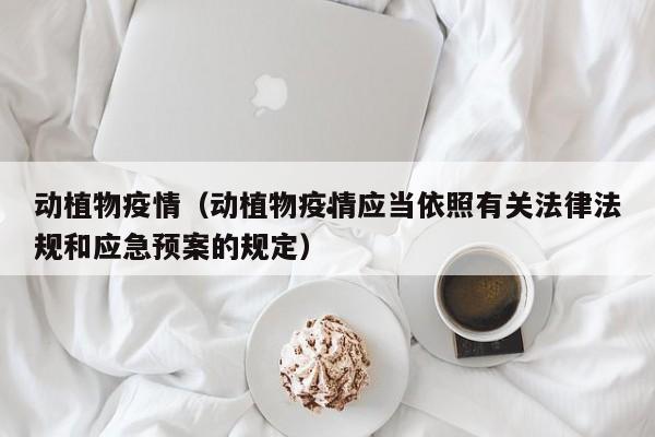 加拿大移民孩子（加拿大移民孩子需要无犯罪证明吗）