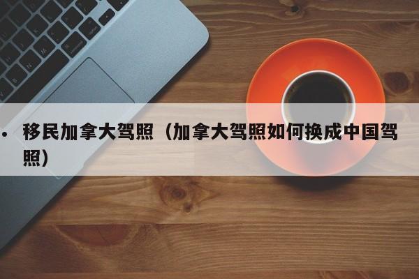 加拿大移民律师事务所有哪些人