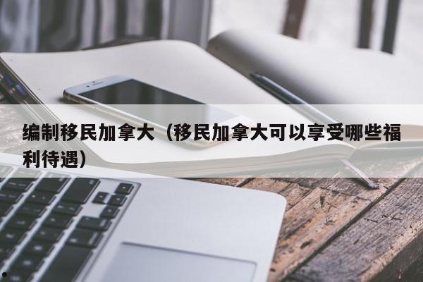 残疾人移民加拿大